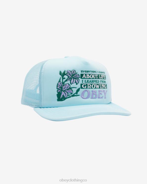accesorios cielo limpio 8RB6X479 OBEY hombres camionero de la vida