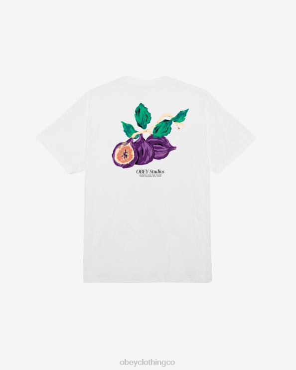 ropa blanco 8RB6X318 OBEY hombres camiseta clásica de estudios