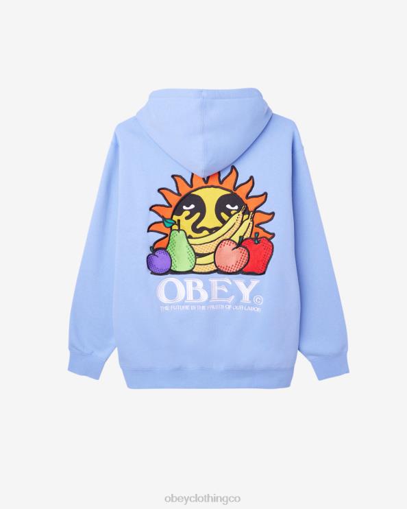 ropa hortensia 8RB6X192 OBEY hombres nuestro jersey laboral