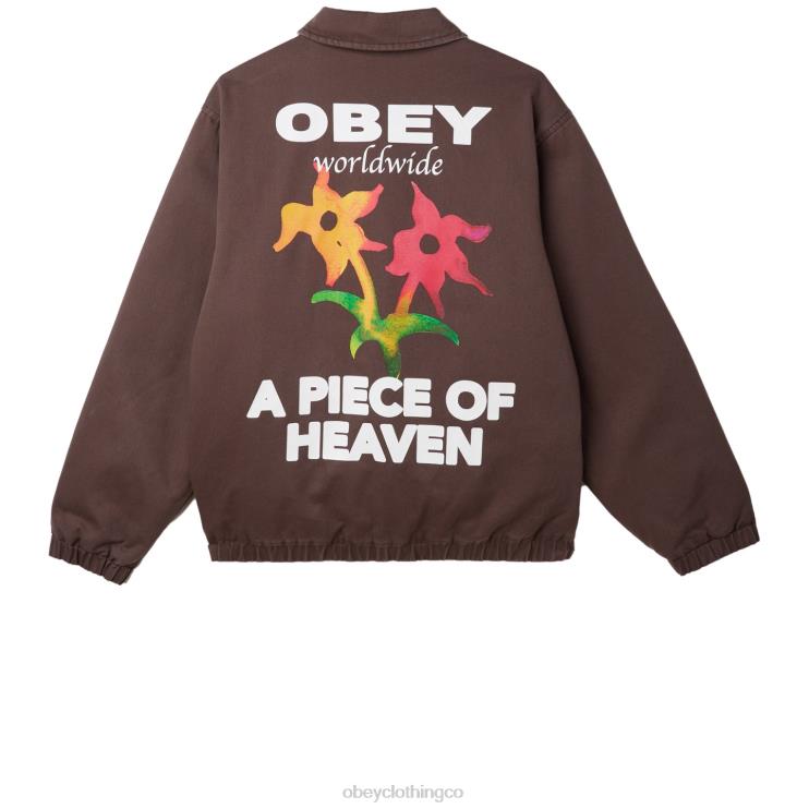 ropa marron oscuro 8RB6X831 OBEY hombres chaqueta leimert