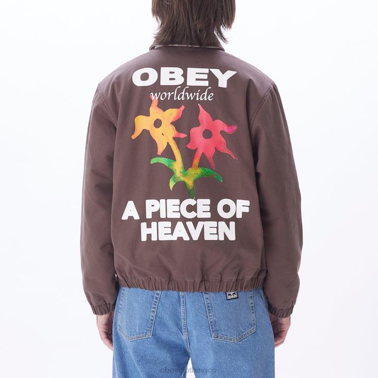 ropa marron oscuro 8RB6X831 OBEY hombres chaqueta leimert